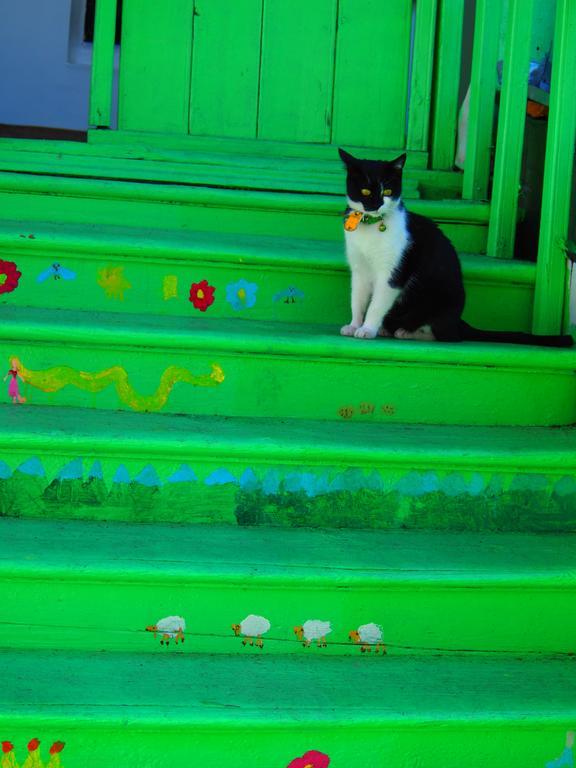 Green Stairs Guest House تبليسي المظهر الخارجي الصورة