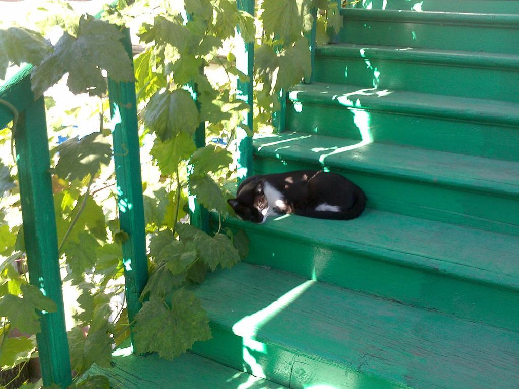 Green Stairs Guest House تبليسي المظهر الخارجي الصورة