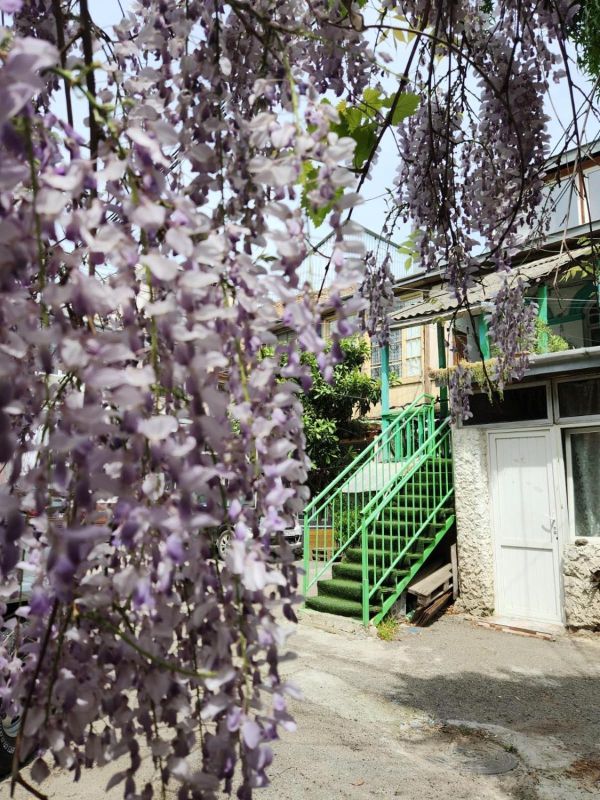 Green Stairs Guest House تبليسي المظهر الخارجي الصورة