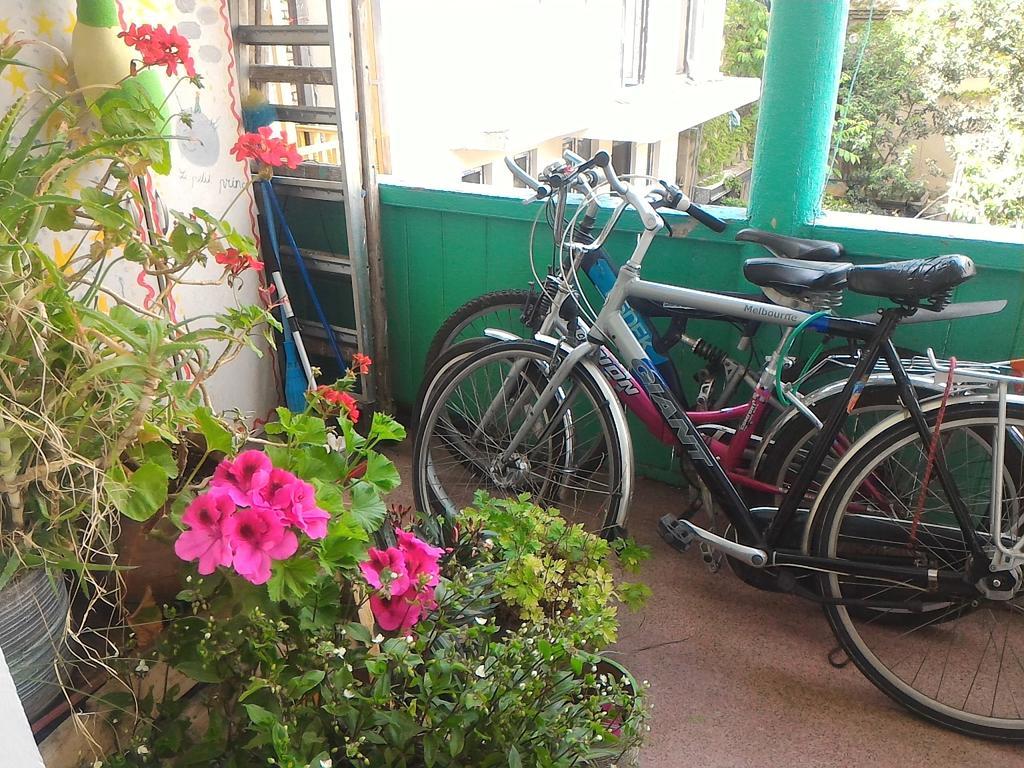Green Stairs Guest House تبليسي المظهر الخارجي الصورة